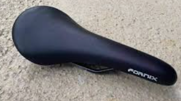 Fornix Saddle